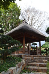 Парк, Гонконг, Китай