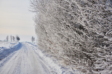 wiejski zimowy krajobraz drogi