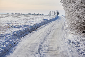 Zimowa droga wśród ośnieżonych pól - obrazy, fototapety, plakaty
