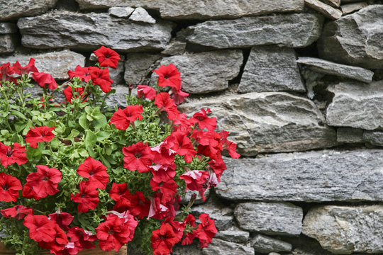 Blumenschmuck mit Natursteinmauer