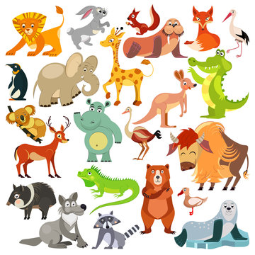 Set of funny animals, birds and reptiles from all over the world. World fauna. For alphabet.  Illustration