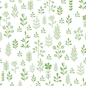 Green herbs seamless pattern. Scandinavian background. Nature style.