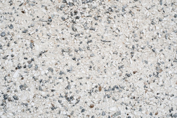 Background white textured wall from a stone