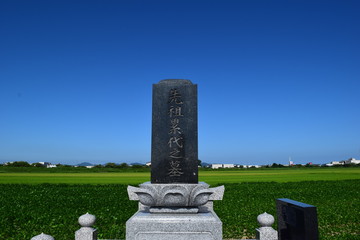 日本のお墓の風景