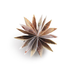 flowers origami banknotes