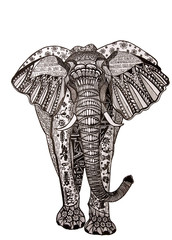 Doodle illustration elephant isolated on white background.