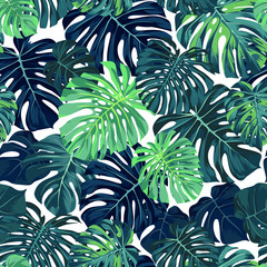 Panele Szklane  Zielony wektor wzór z liści palmowych monstera na ciemnym tle. Bezszwowe lato tropikalny wzór tkaniny.