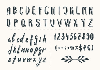 Hand drawn brush letters. Vector font. Isolated.