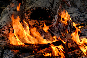 firelight © Grzegorz Matoryn