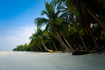 Pristine Empty Beach Havelock Island of Andaman Islands in India