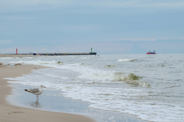 Polish coast