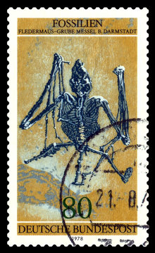Postage stamp.  Skeleton bat.