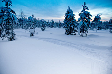 Fototapeta premium landscape