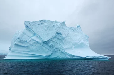 Gordijnen antarctica ijsberg © Martin