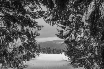 Winter in the mountains collection