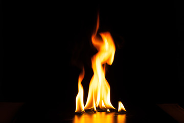 Burning fire flame on black background