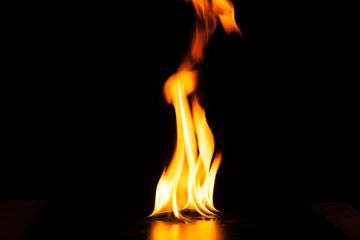 Fototapeta premium Burning fire flame on black background