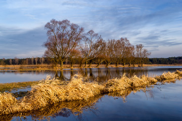 Łąki nad Narwią © podlaski49