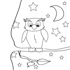 Owl outline coloring night on a tree.