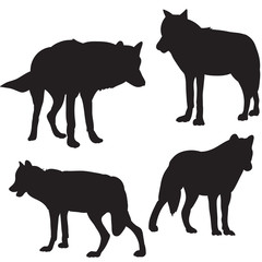 Wolf silhouette black many individuals isolated
