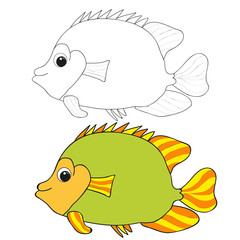 Fish two individuals one colored by a second black outline