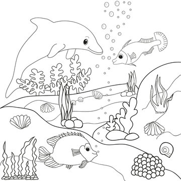 Dolphin book coloring outline underwater world