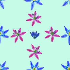 Fototapeta na wymiar Bluebell, scilla, primroses. Seamless pattern texture of flowers. Floral background, photo collage