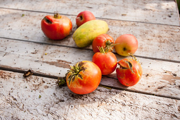 Organic tomatoes, chemically untreated.