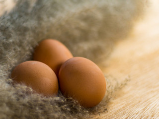 Close-up three eggs with grass flower on wood table