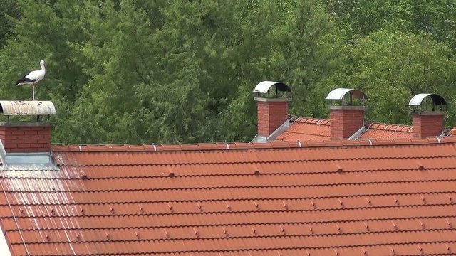 Vier Kamine am Dach - aber nur einer wird vom Wei&szlig;storch ben&uuml;tzt (Totale)