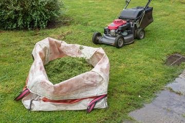 lawn mower and a bag of cut grass on the green lawn