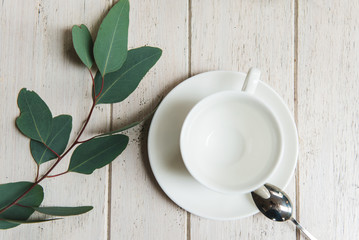 An upper view of a white tea couple and a green brunch next to it, white wood background. Top view of cup of tea with green leaf of vegetable on wooden table