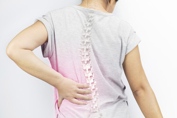 spine bones injury white background