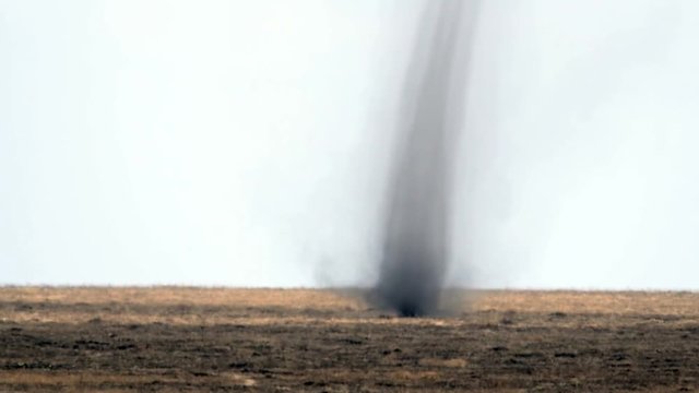 Maasai Mara Dust Devil