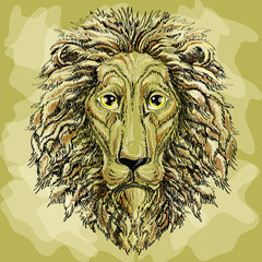 Lion's head portrait  , vector illustration , on a golden background