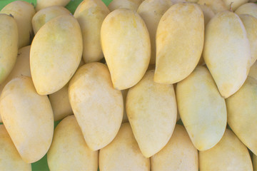 Fresh Mango selling in the fruit market.