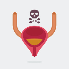 Bladder vector illustration