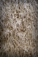 Straw texture background