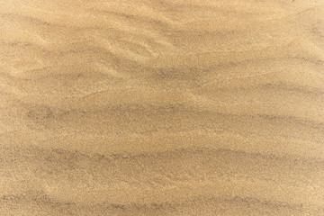Fototapeta na wymiar Desert dunes sand texture background in Maspalomas Gran Canaria at Canary islands