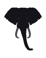 Fototapeta premium Elephant Head Front View. This Silhouette May Be Used for Your Logo