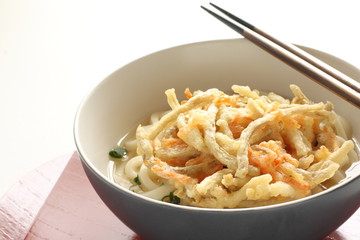 Burdock tempura and udon noodles
