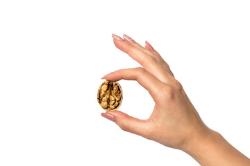 Hand with walnut