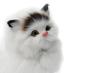 doll cat cute beautiful on white background with copy space for add text