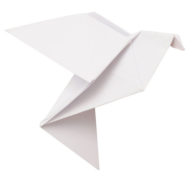 Origami Dove