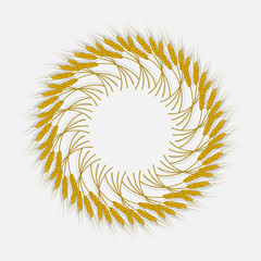 Obraz premium Spikes of wheat, barley or rye are woven into one bundle