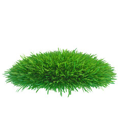 green grass meadow. plants lawn. 3d rendering