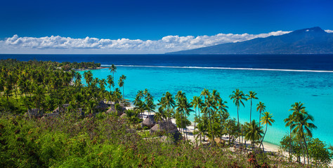 Palm trees on tropical beach of Moorea island with the view of Tahiti