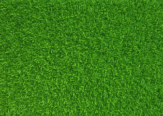Plakat Green grass. natural background texture. fresh spring green grass. 3d rendering.