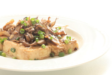 Pan fried Tofu and Maitake mushroom stir fried on top