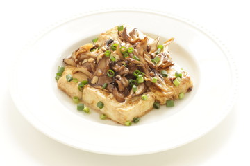 Pan fried Tofu and Maitake mushroom stir fried on top